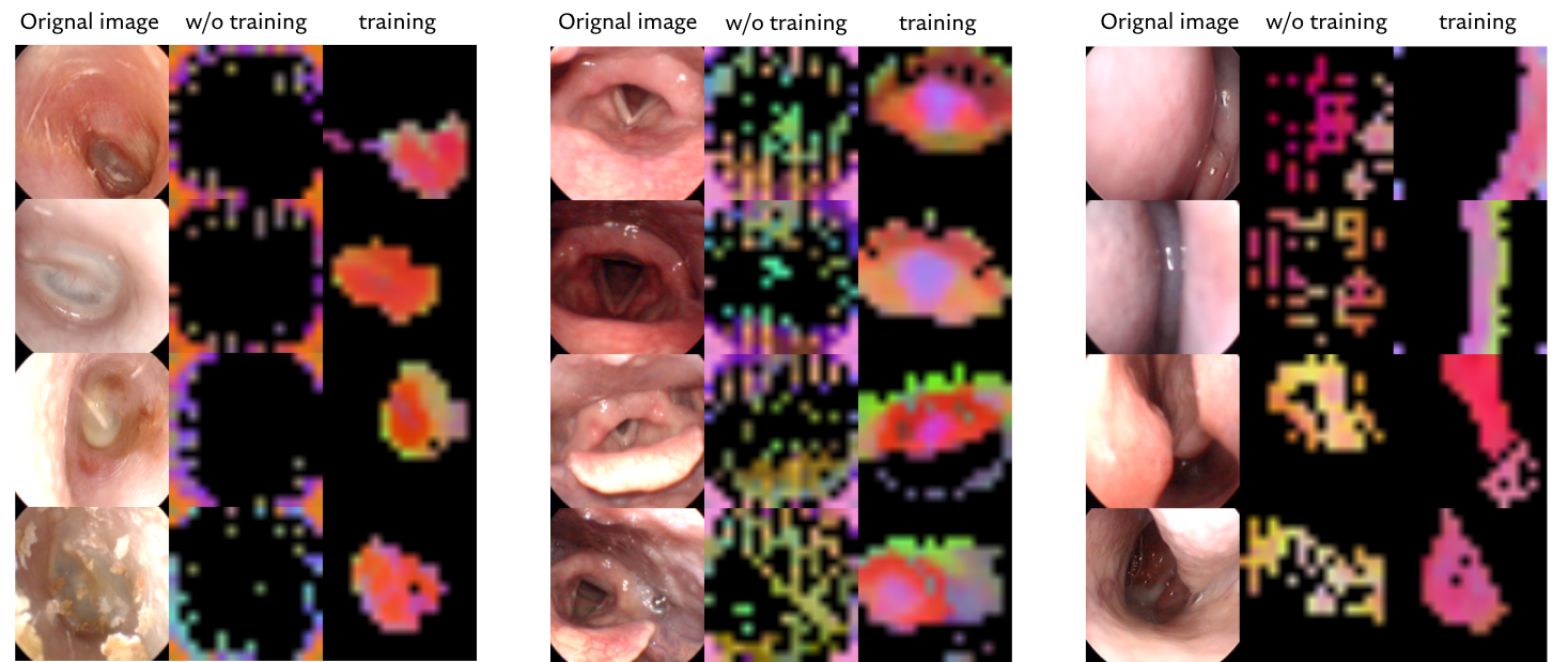 Experiment Result 2
