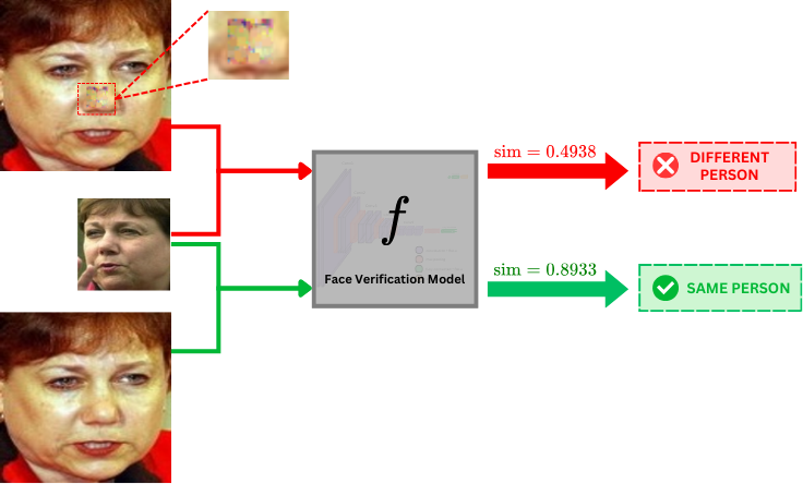 Overview